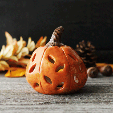 Pumpkin Bright Clay Tealight