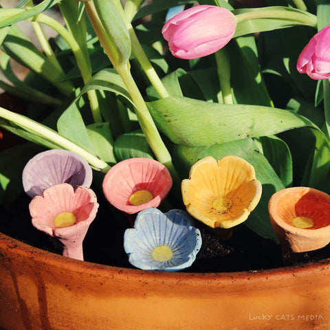 August | Bee Cups