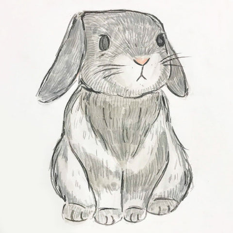 Bunny Love 6 Week Kids Session