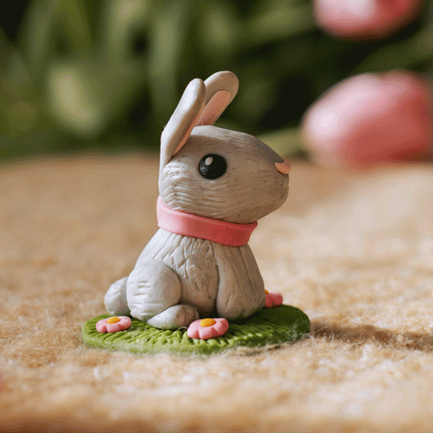 Bunny Love 6 Week Kids Session