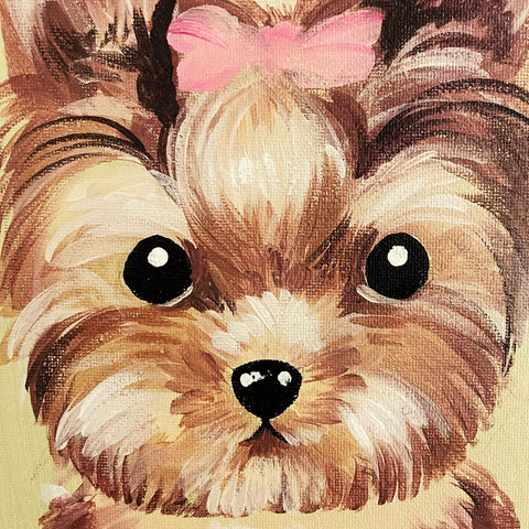 February | Furry Friend