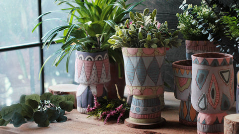 "Home is where the plants are happy."