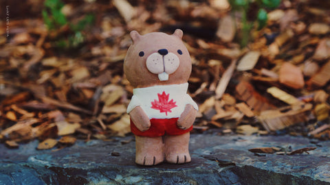 "Canada's wilderness is not just a place, it's a feeling of endless possibilities and boundless beauty."