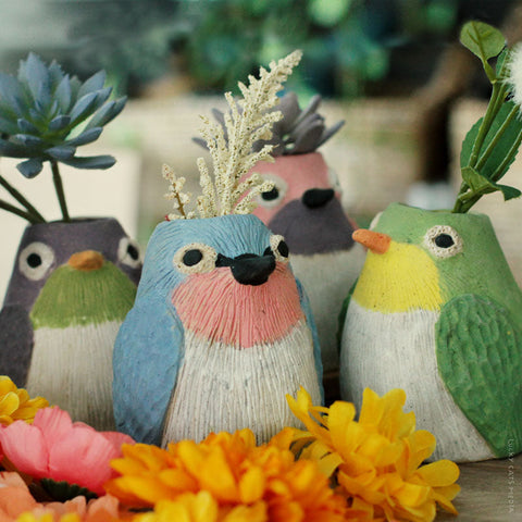 July | Little Birdie